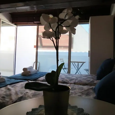 Hostal White House