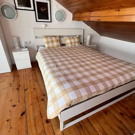 White House 호스텔 *