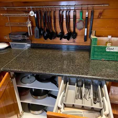 White House 호스텔