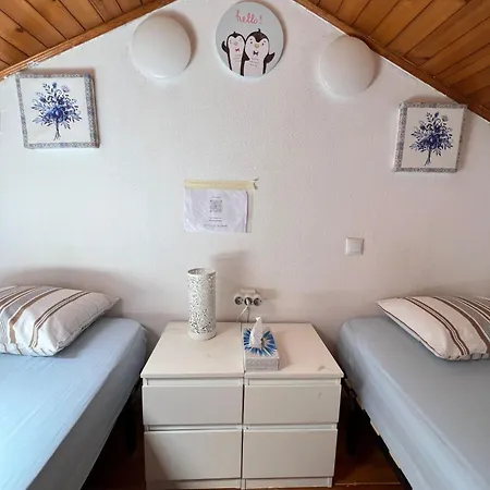 White House بيت شباب Lisboa