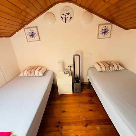 Auberge de jeunesse White House *